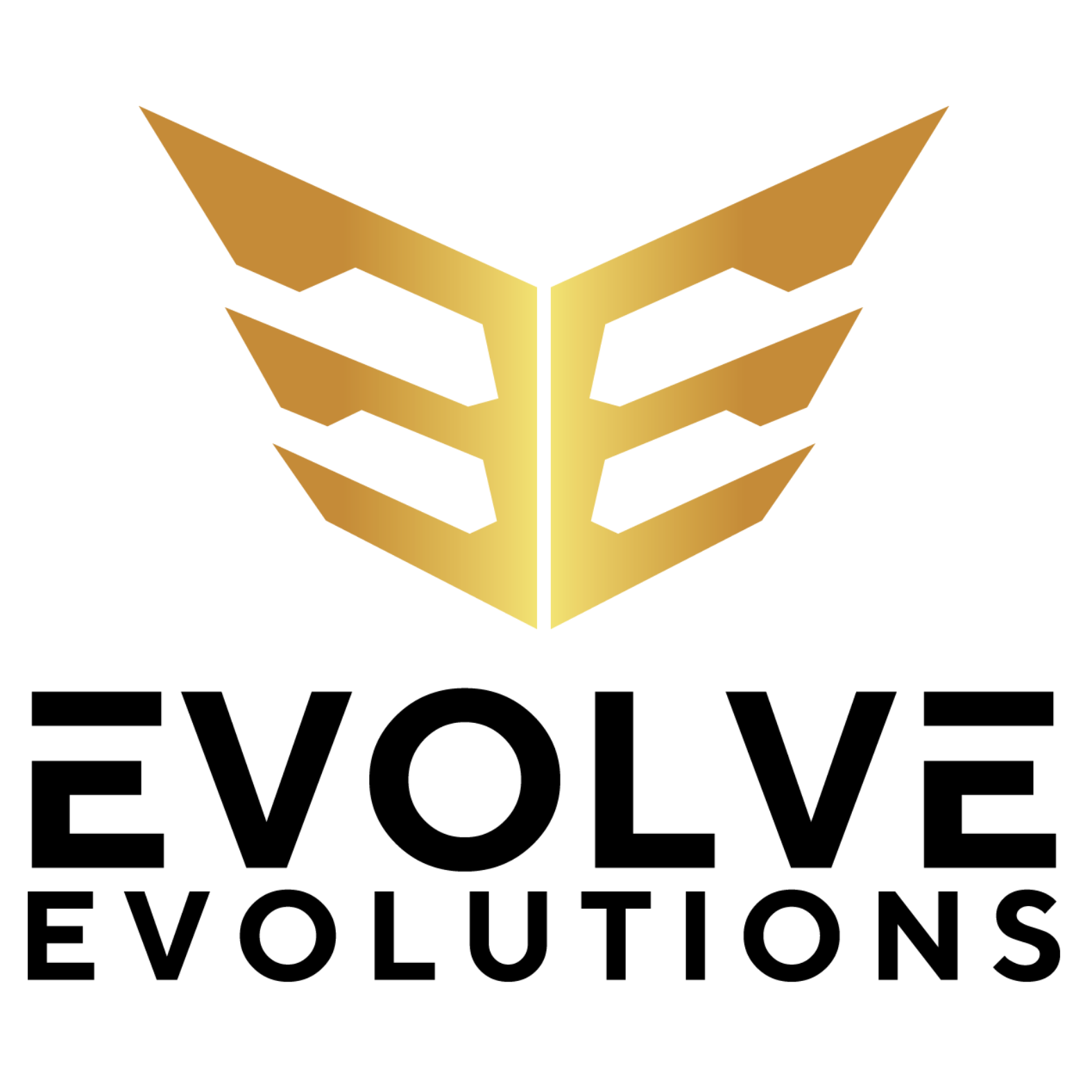Evolve Evolutions