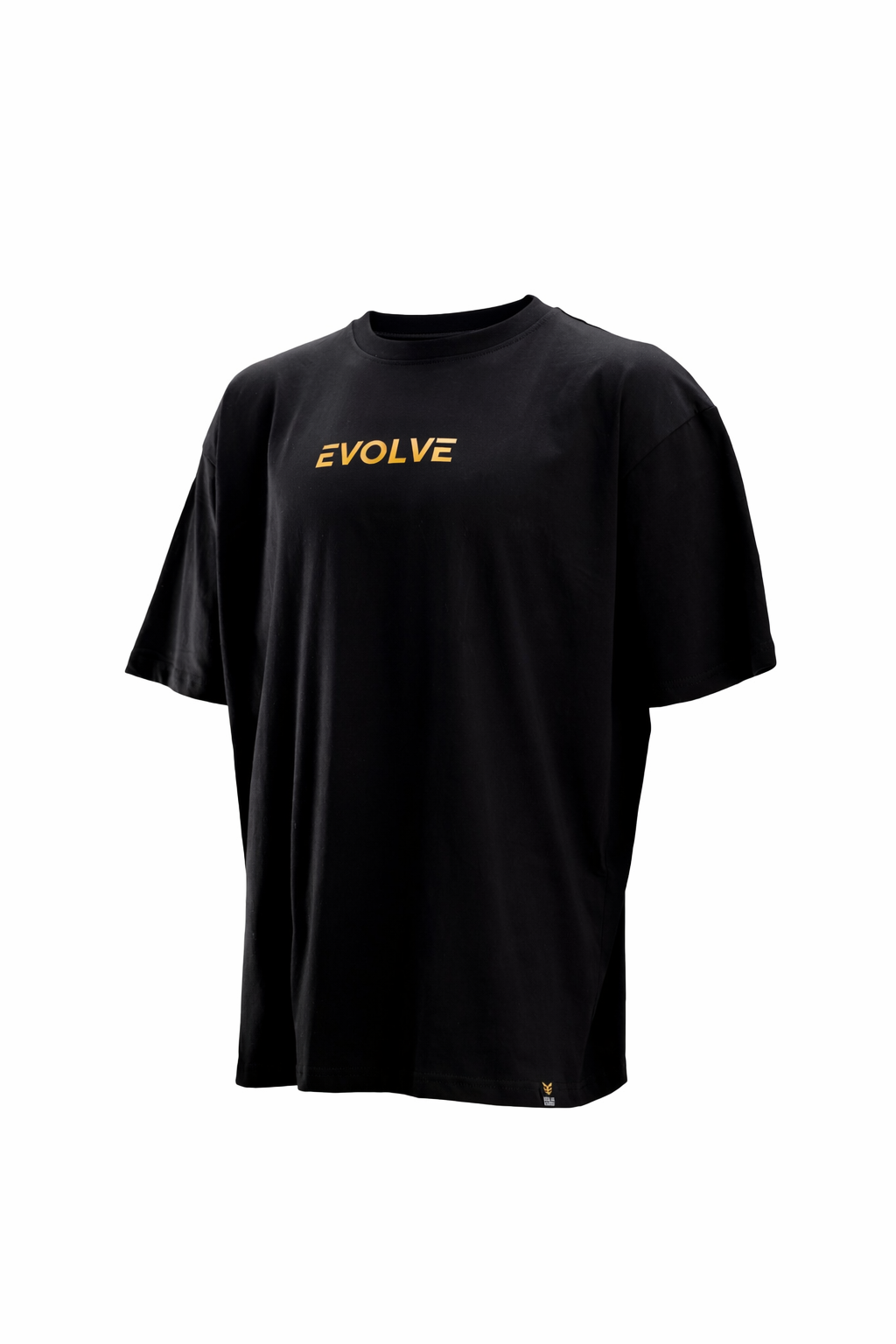 Proof of Evolution Oversized Tee